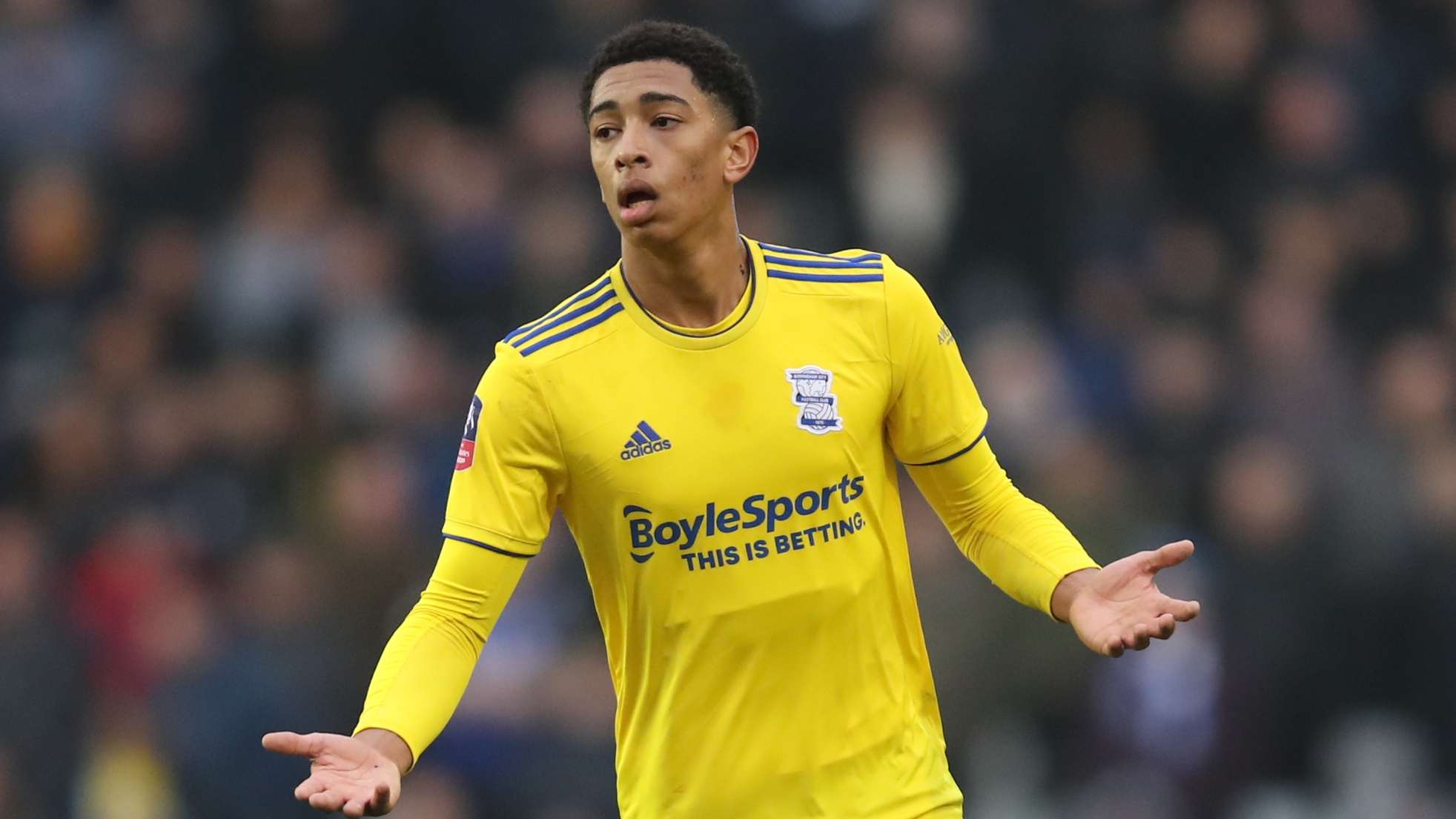 国家队队员 国家队队员