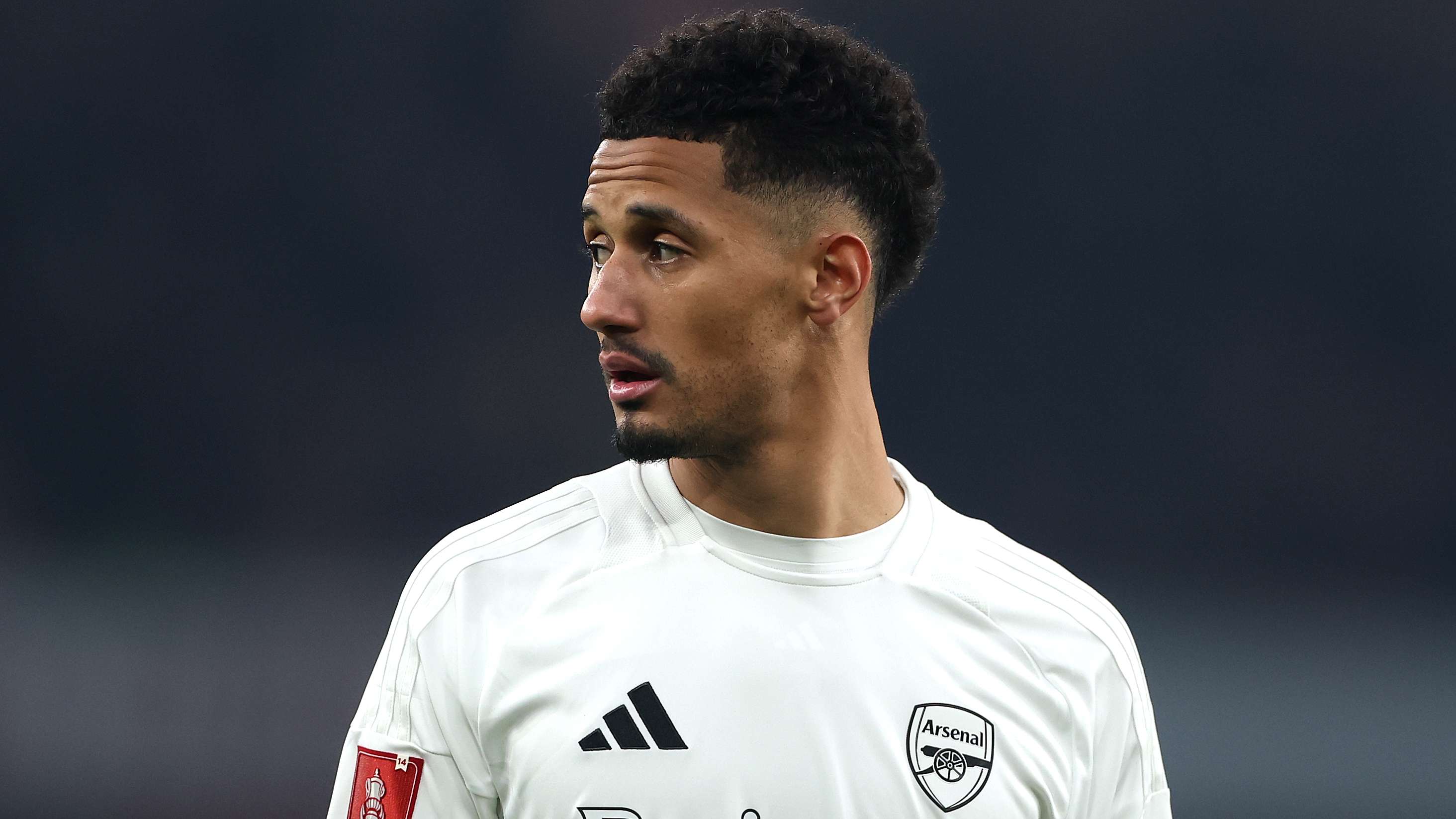 职业生涯的 职业生涯的